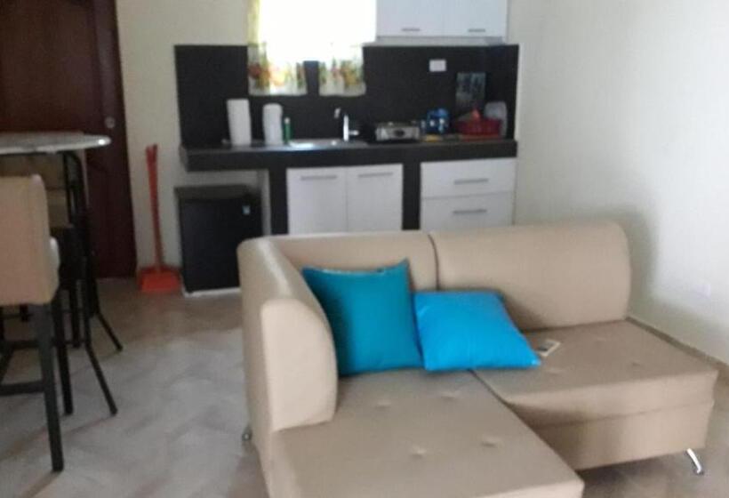 آپارتمان 1 خوابه, Curasita Colour Appartments
