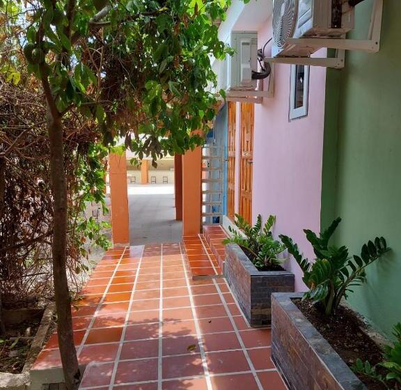 استودیو استاندارد با چشم‌انداز باغ, Curasita Colour Appartments