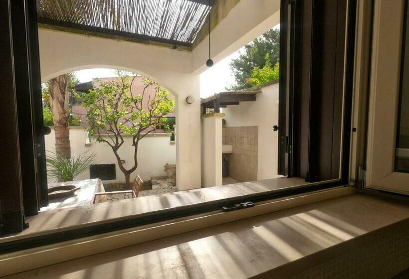 استودیوی لوکس, Odegos