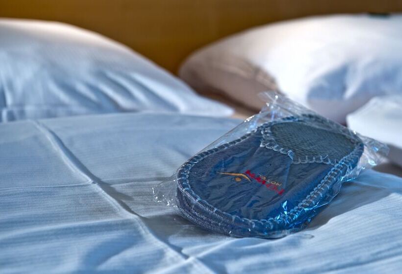 Номер Superior, Town Hotel Wiesbaden   Kleines Privathotel In Bestlage