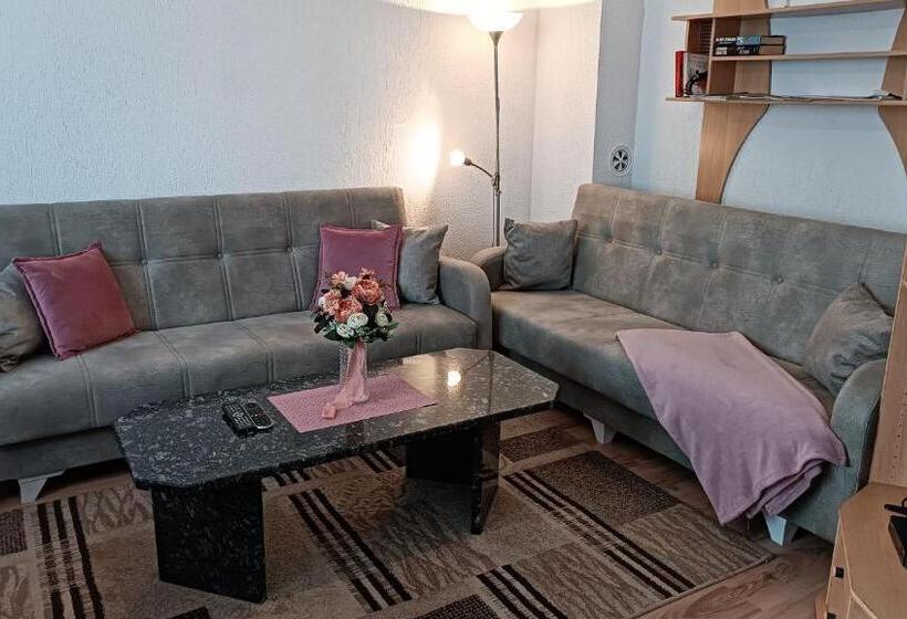 اتاق استاندارد با سرویس بهداشتی مشترک, City Park Apartments