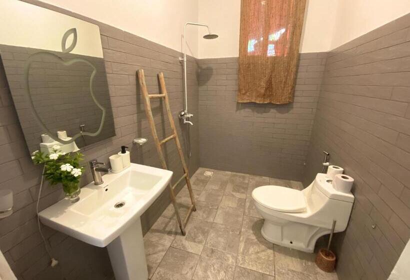 Номер Стандарт, Cezere The Palm