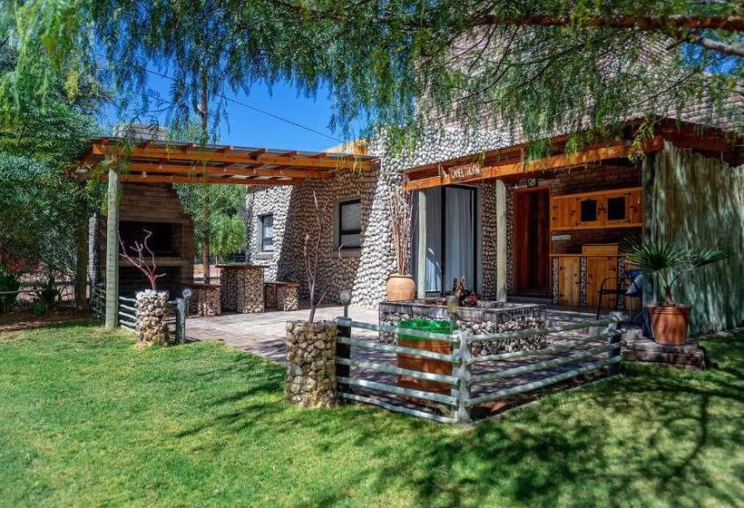 Номер Deluxe, Kalahari Camelthorn Guesthouse And Camping