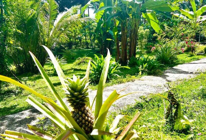 带共用浴室的标准房间, Sanctum Una Una Eco Dive Resort