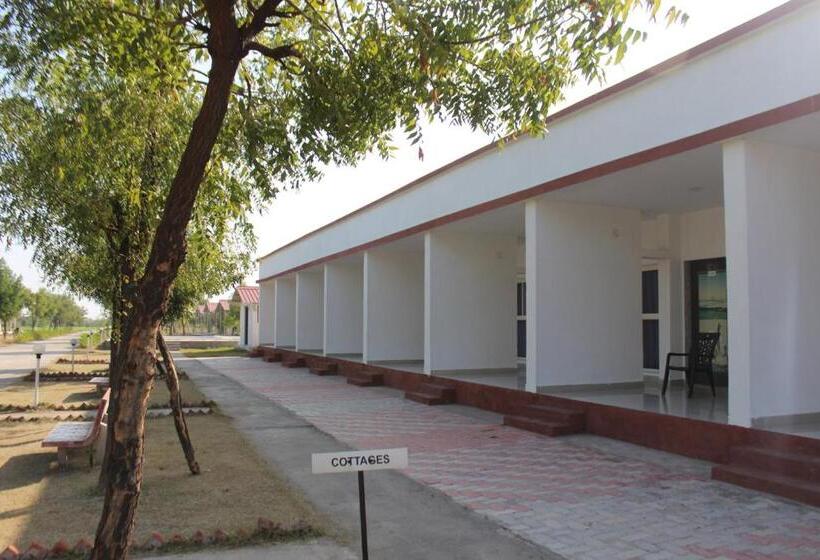 标准间, Little Rann Resort
