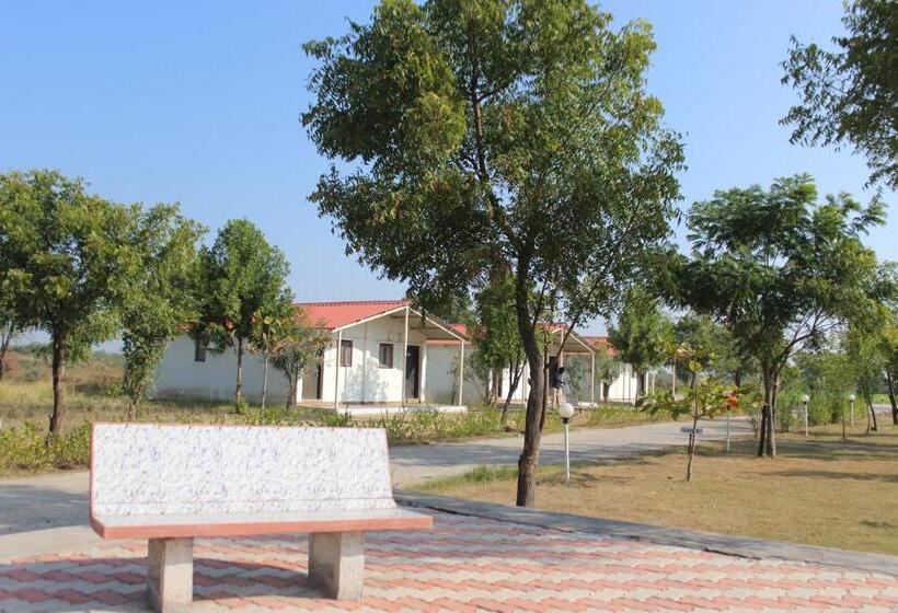 标准间, Little Rann Resort
