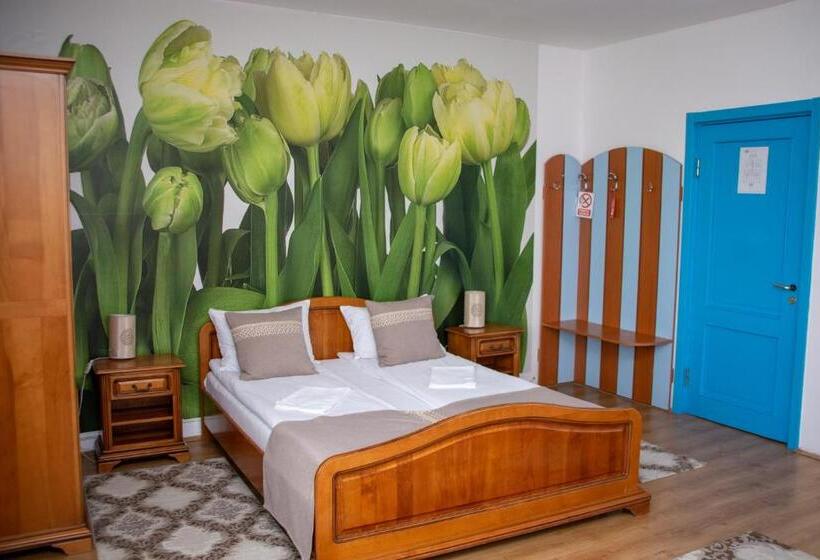 Номер Стандарт с Террасой, Motel Via Targu Mures