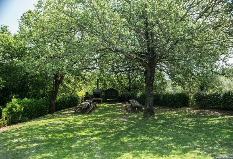 Апартаменты Deluxe 1 Спальня, Agriturismo La Papessa   Fattoria Montecchio