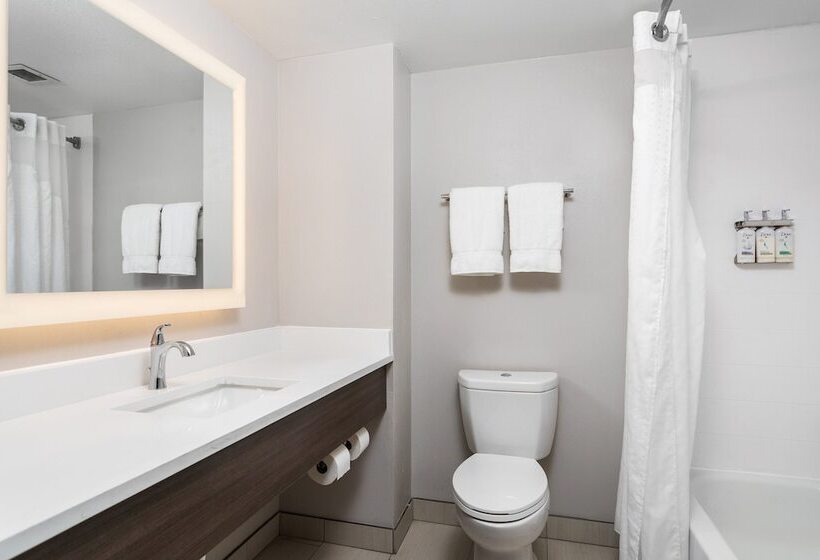 Camera Standard, Holiday Inn Express Hotel & Suites Chattanooga Lookout Mountain, An Ihg