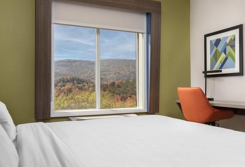 Suite, Holiday Inn Express Hotel & Suites Chattanooga Lookout Mountain, An Ihg