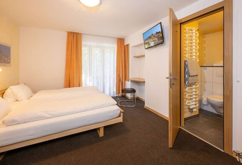 Номер Economy, Aktiv Hotel & Spa Hannigalp