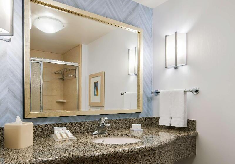 스탠다드 룸 킹사이즈 침대, Hilton Garden Inn Dallas Richardson
