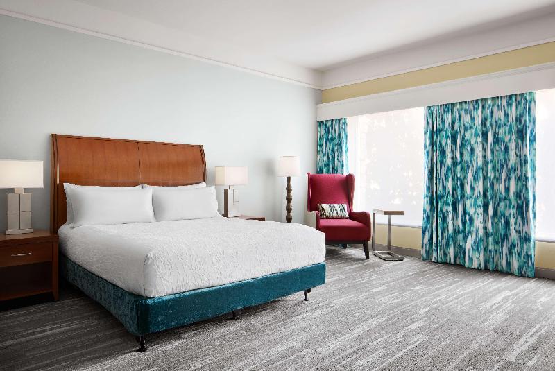 스탠다드 룸 킹사이즈 침대, Hilton Garden Inn Dallas Richardson