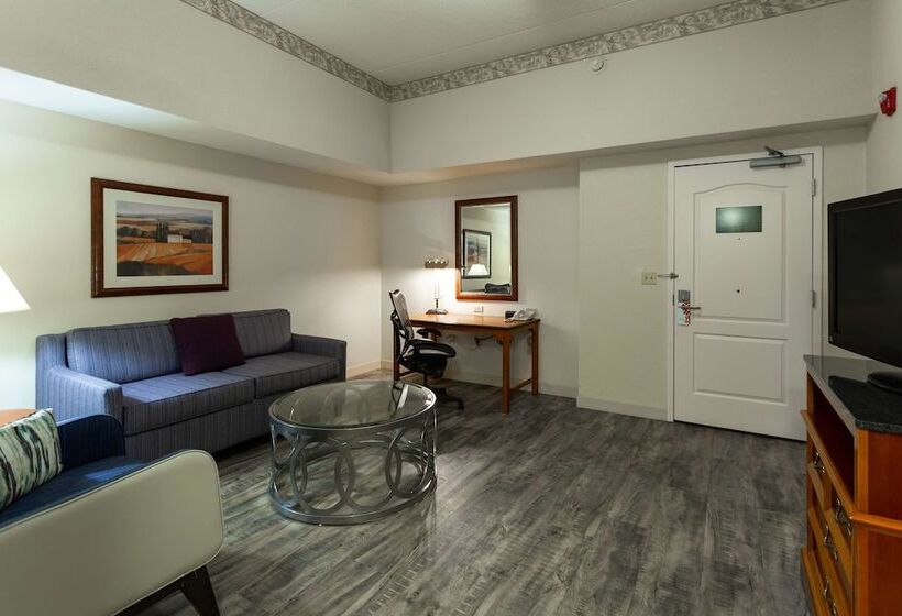 Полулюкс, Hilton Garden Inn Wooster