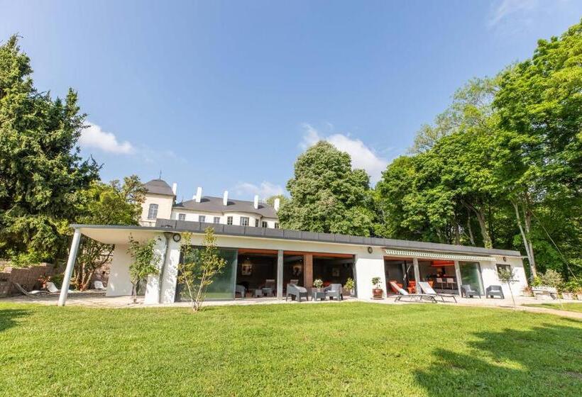 Люкс Повышенной Комфортности, Château De Charmeil  Vichy Chambres D Hôtes