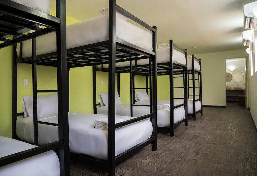 تختخواب در اتاق مشترک, Colorbox Beds And Rooms