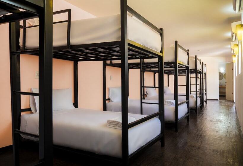 تختخواب در اتاق مشترک, Colorbox Beds And Rooms