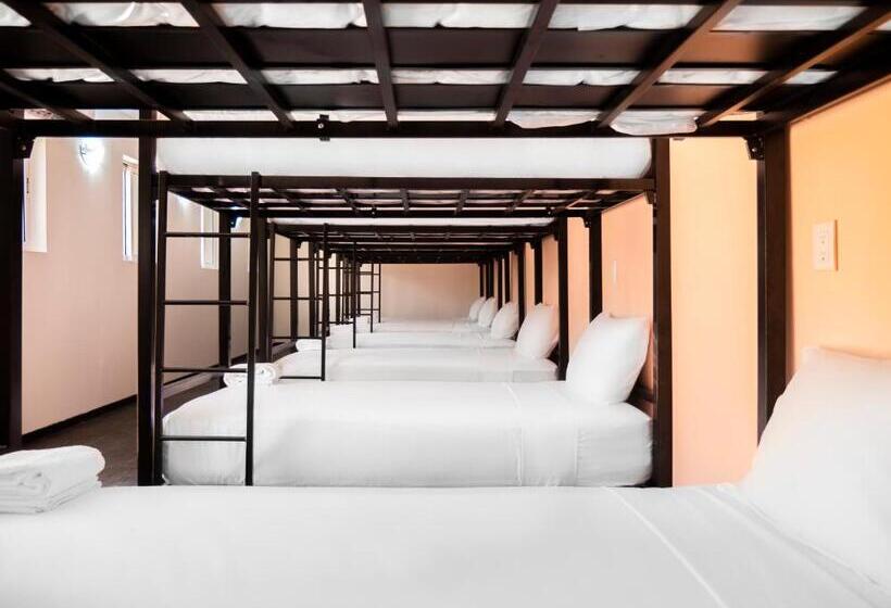 تختخواب در اتاق مشترک, Colorbox Beds And Rooms
