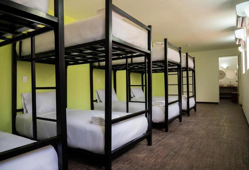 تختخواب در اتاق مشترک, Colorbox Beds And Rooms