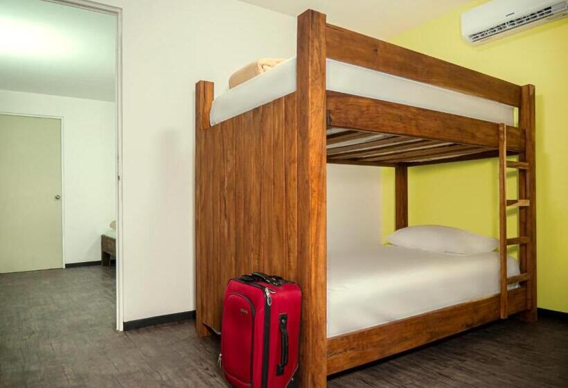 اتاق خانوادگی, Colorbox Beds And Rooms