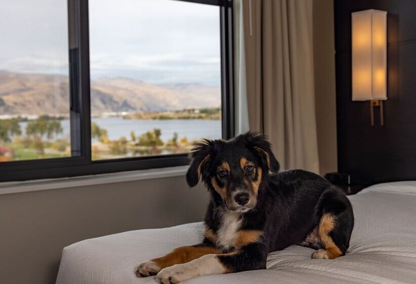 Студия Стандарт, Residence Inn By Marriott Wenatchee