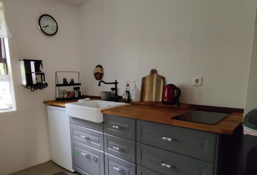 اتاق لوکس با چشم‌انداز دریا, Prestshús 2 Guesthouse