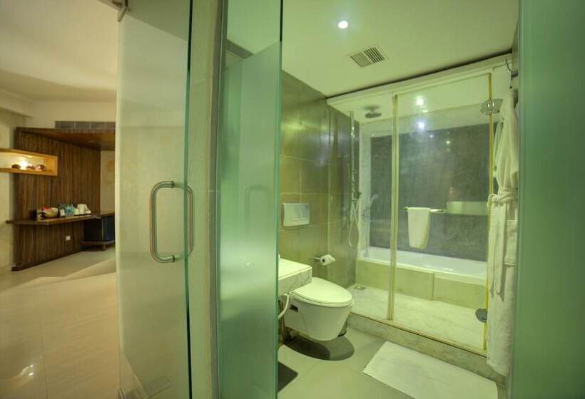 Президентский Люкс, Goldfinch Hotel Mangalore