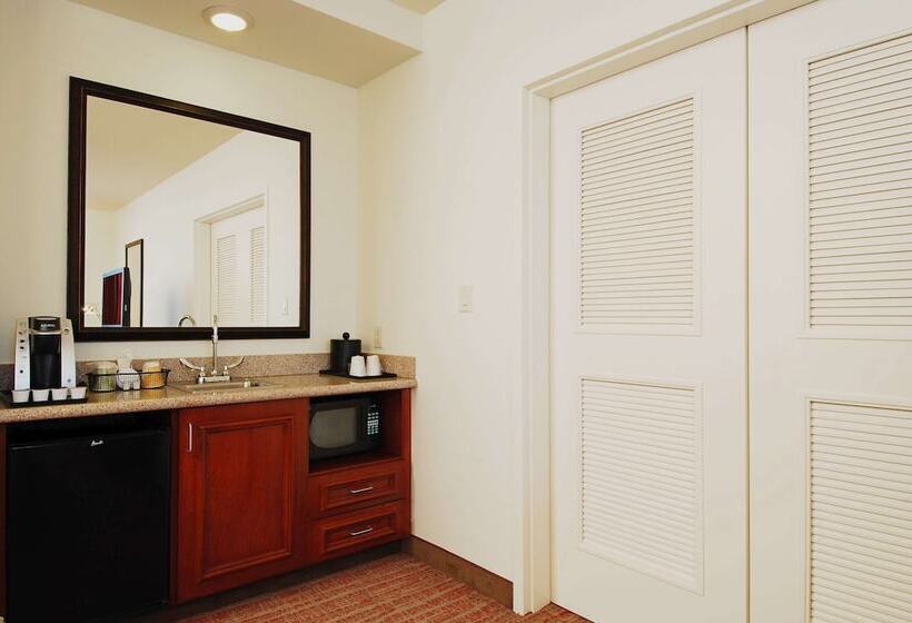 Suite Łóżko King Size, Hilton Garden Inn Rockford