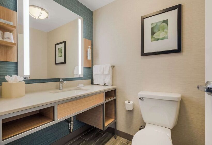 Suite Łóżko King Size, Hilton Garden Inn Rockford