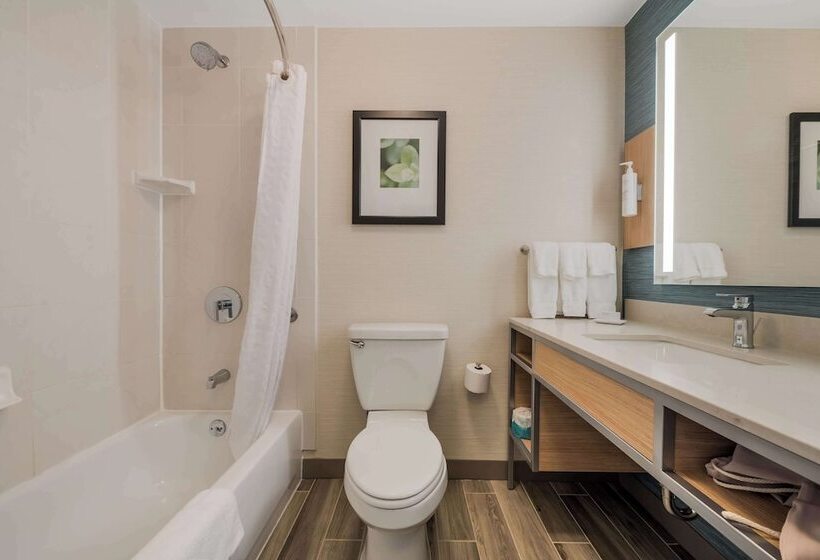Pokój Standard, Hilton Garden Inn Rockford