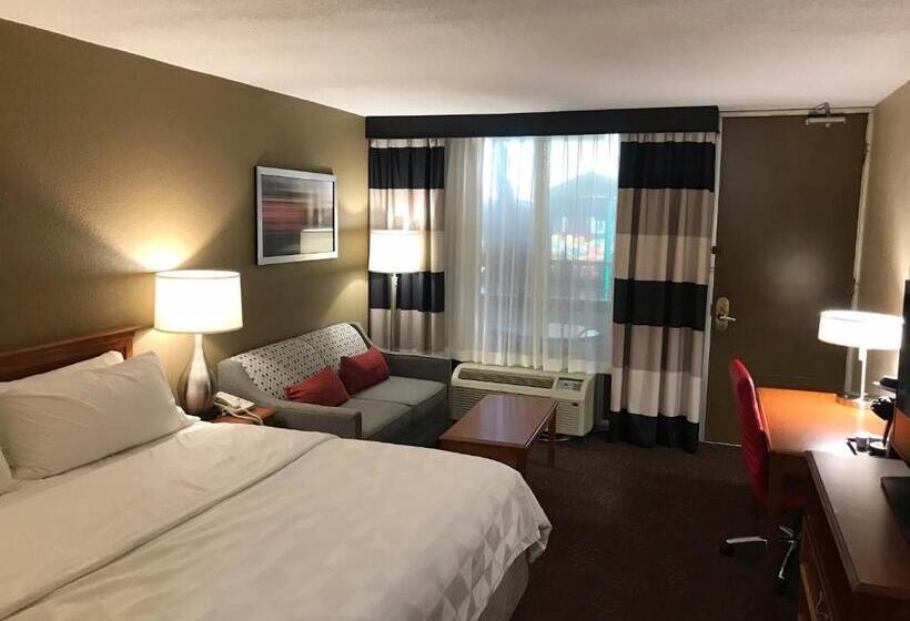 스탠다드 룸 킹사이즈 침대, Holiday Inn Alexandria, An Ihg
