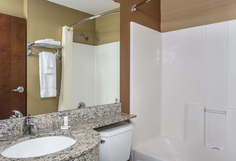 스위트, Microtel Inn & Suites By Wyndham Pearl River/slidell