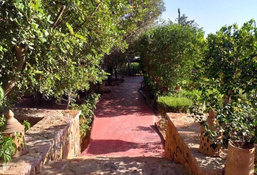 Бунгало Стандарт, La Kasbah D Ouzoud