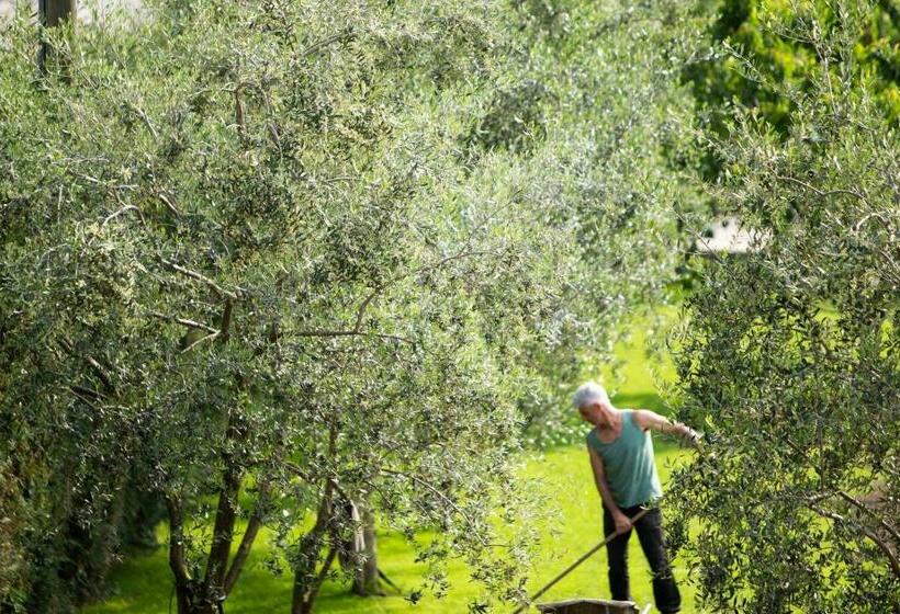 Номер Стандарт, Agriturismo Vin E Amor