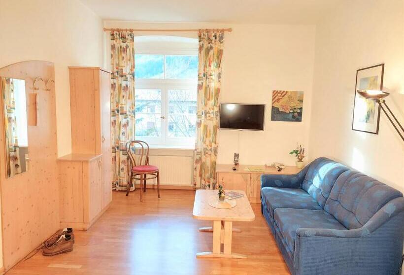 带1个卧室的公寓, Residence Zum Theater