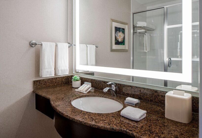 Номер Стандарт, Hilton Garden Inn Jackson Downtown