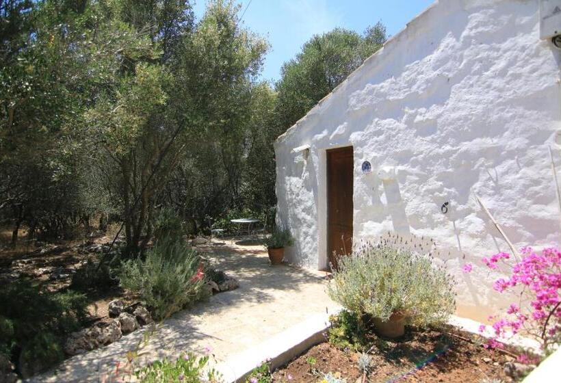 Номер Стандарт, Agroturismo Matxani Gran
