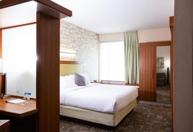 キングサイドベッドのスタンダードワンルーム, Springhill Suites Wenatchee