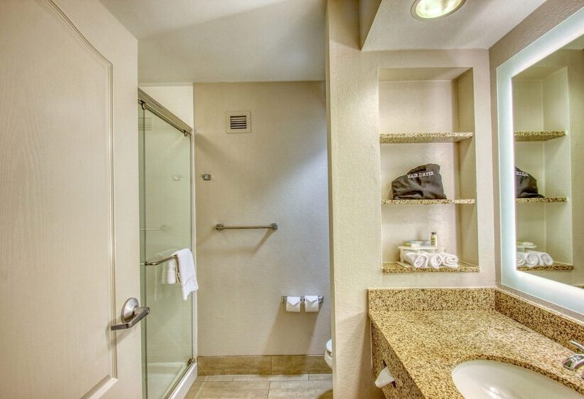标准间, Holiday Inn Express Hotel & Suites Milwaukee Airport, An Ihg