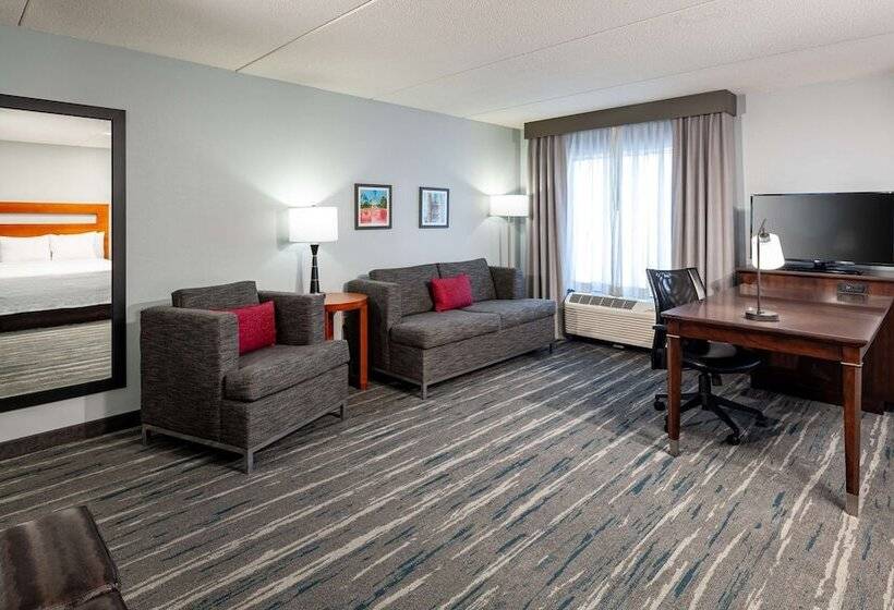标准工作室, Hampton Inn & Suites St. Louis At Forest Park