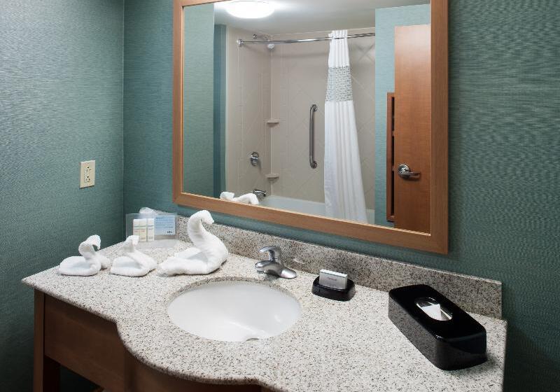 带大床的标准间, Hampton Inn & Suites St. Louis At Forest Park