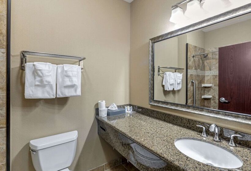 スタンダードルーム, Comfort Inn & Suites Fort Worth  Fossil Creek