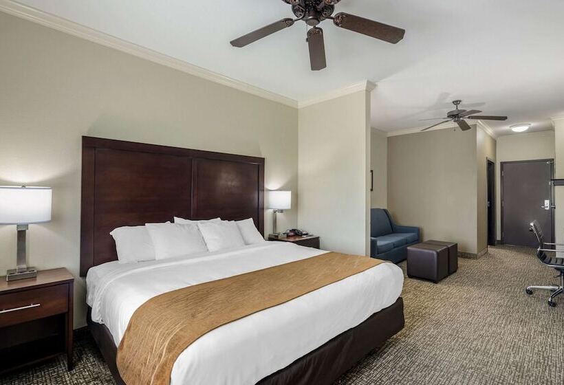 身障者適用スイートルーム, Comfort Inn & Suites Fort Worth  Fossil Creek