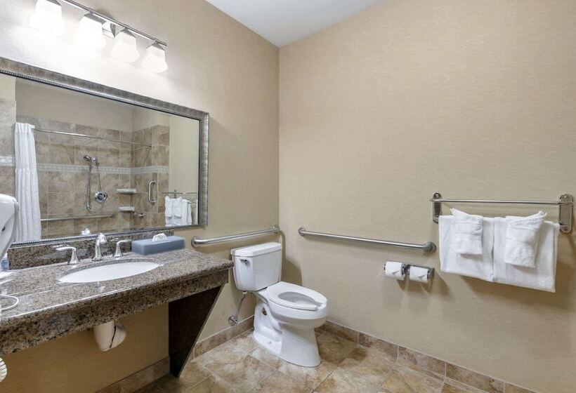 スタンダードルーム, Comfort Inn & Suites Fort Worth  Fossil Creek