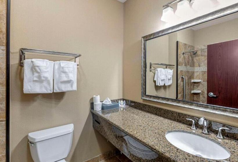 キングサイズベッドのスタンダードルーム, Comfort Inn & Suites Fort Worth  Fossil Creek