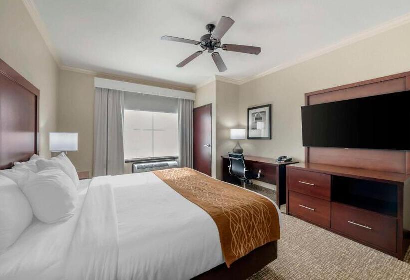 キングサイズベッドのスタンダードルーム, Comfort Inn & Suites Fort Worth  Fossil Creek