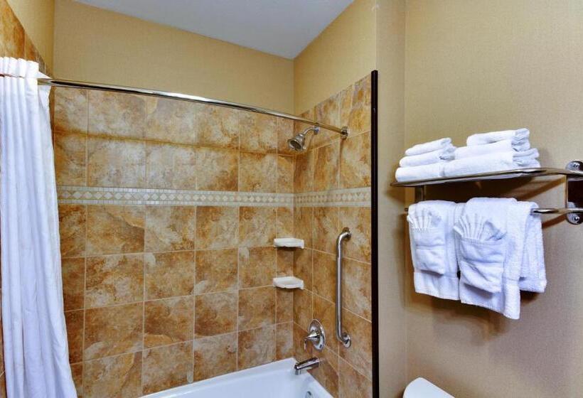 キングサイズベッドのスイートルーム, Comfort Inn & Suites Fort Worth  Fossil Creek