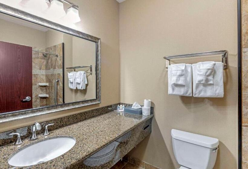 身障者適用スイートルーム, Comfort Inn & Suites Fort Worth  Fossil Creek
