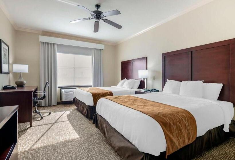 身障者適用スイートルーム, Comfort Inn & Suites Fort Worth  Fossil Creek