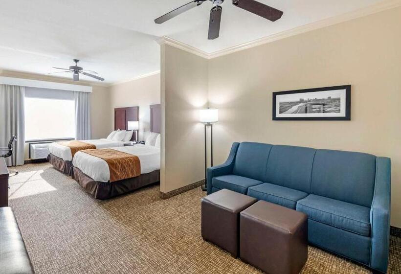 身障者適用スイートルーム, Comfort Inn & Suites Fort Worth  Fossil Creek